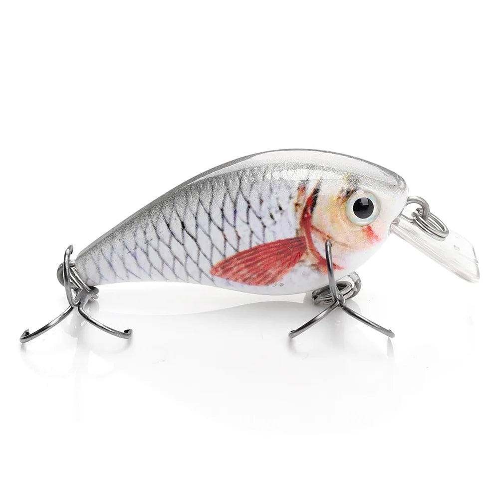 H8384fdef40cd4983b1655b981666c539J