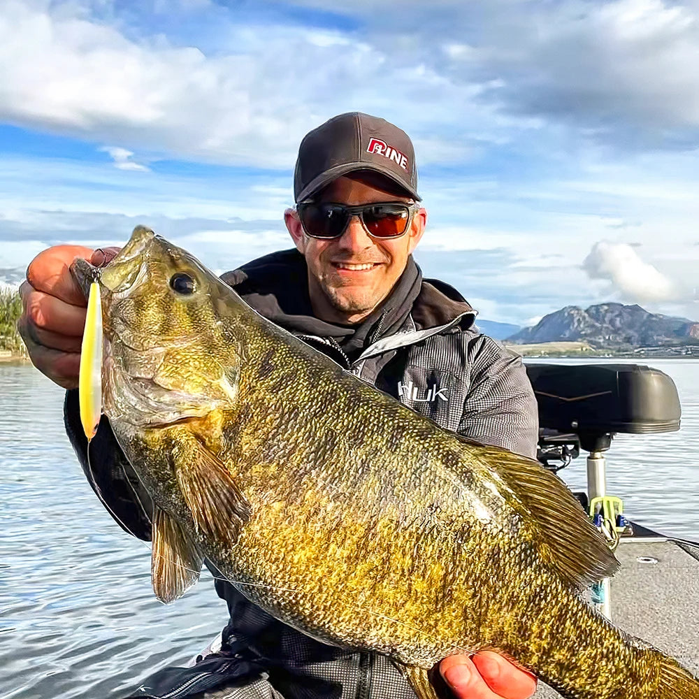 Sbf14747c014442078a3c959fdd9ab60co